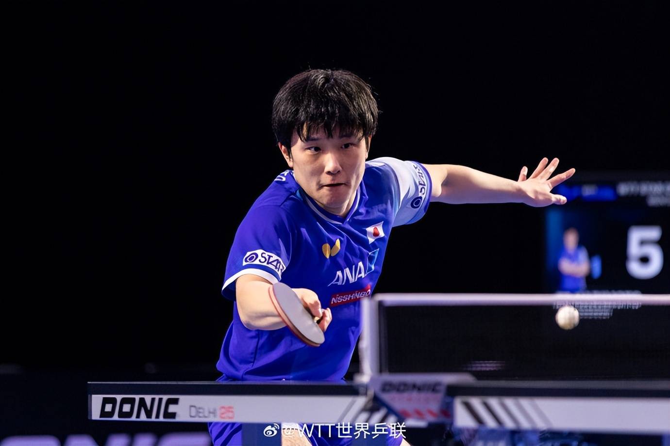 葡萄牙队逆转波兰队，张本智和统治全场